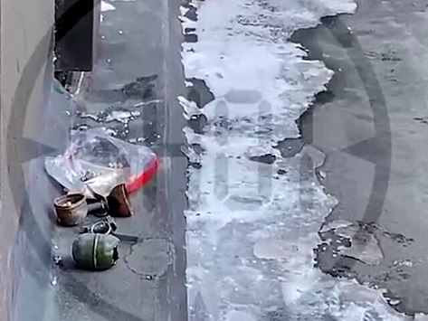 Похожие на гранаты предметы нашли у посольства Швейцарии в Москве