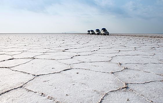 Британские ученые раскрыли тайну сотовых узоров в пустынях