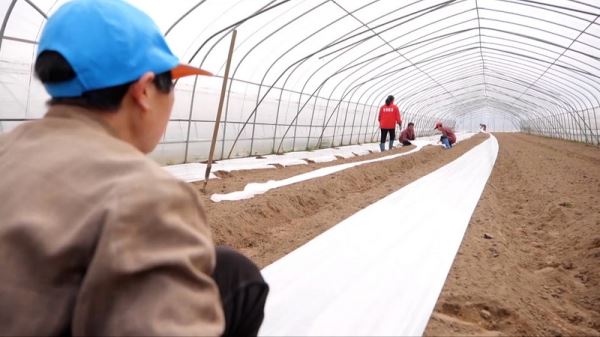 Переговоры в Кремле, поддержка инноваций, новое сельское хозяйство, с берега на берег – смотрите «Китайскую панораму»-506